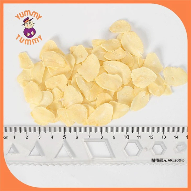 europe quality garlic flakes (4)